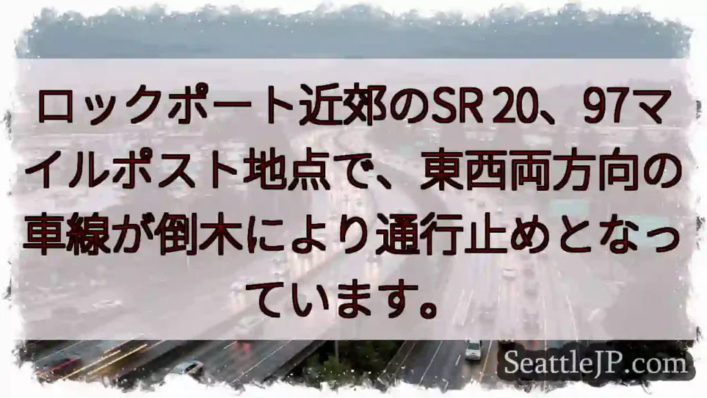 SR 20通行止め！倒木により通行できず