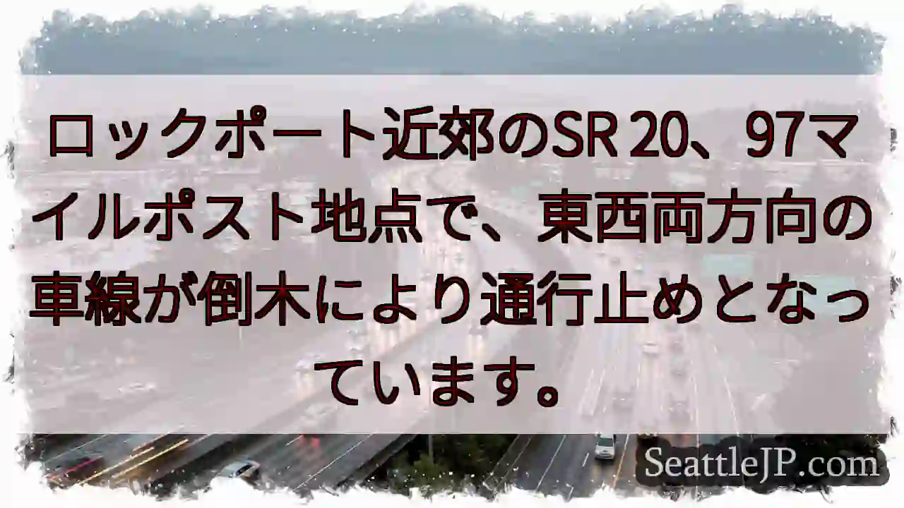 SR 20通行止め！倒木により通行できず