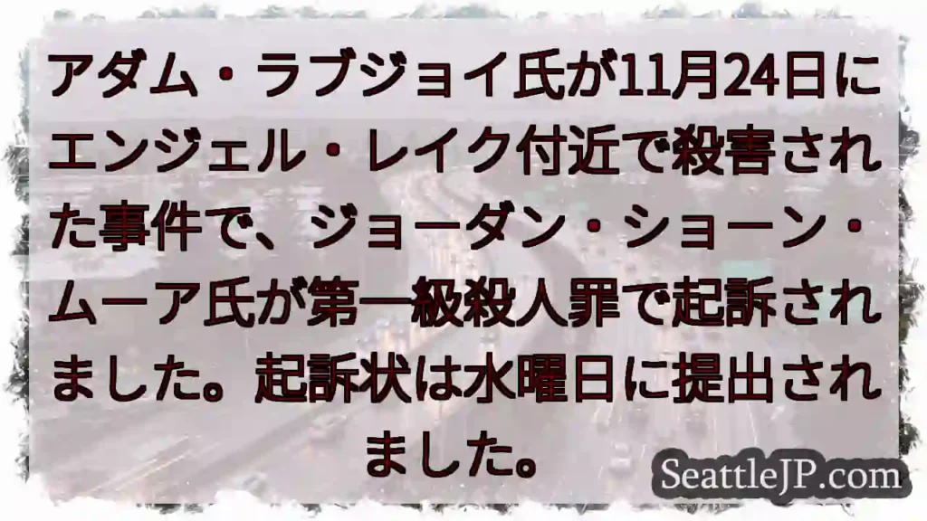 殺人容疑で起訴！