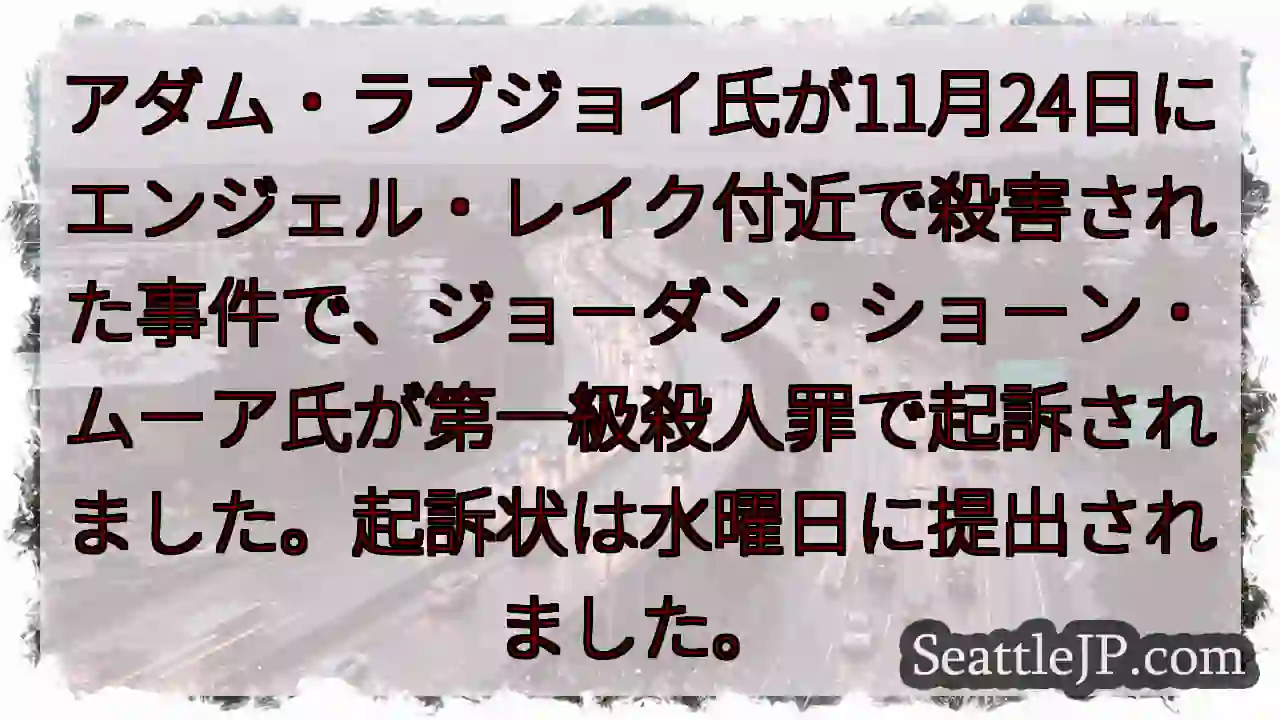 殺人容疑で起訴！