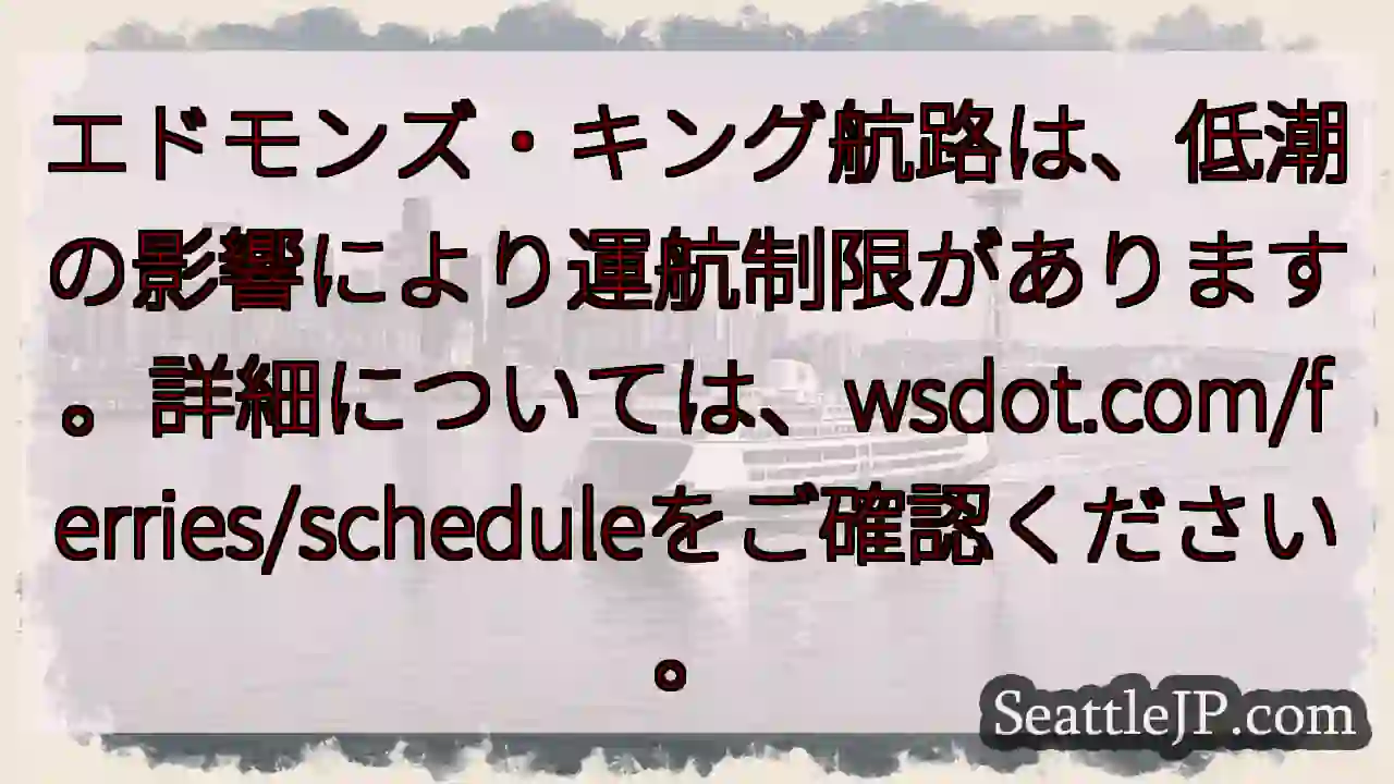 航路制限あり！詳細はこちら↓