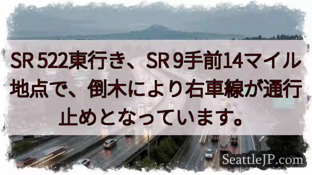 SR 9手前、倒木通行止め