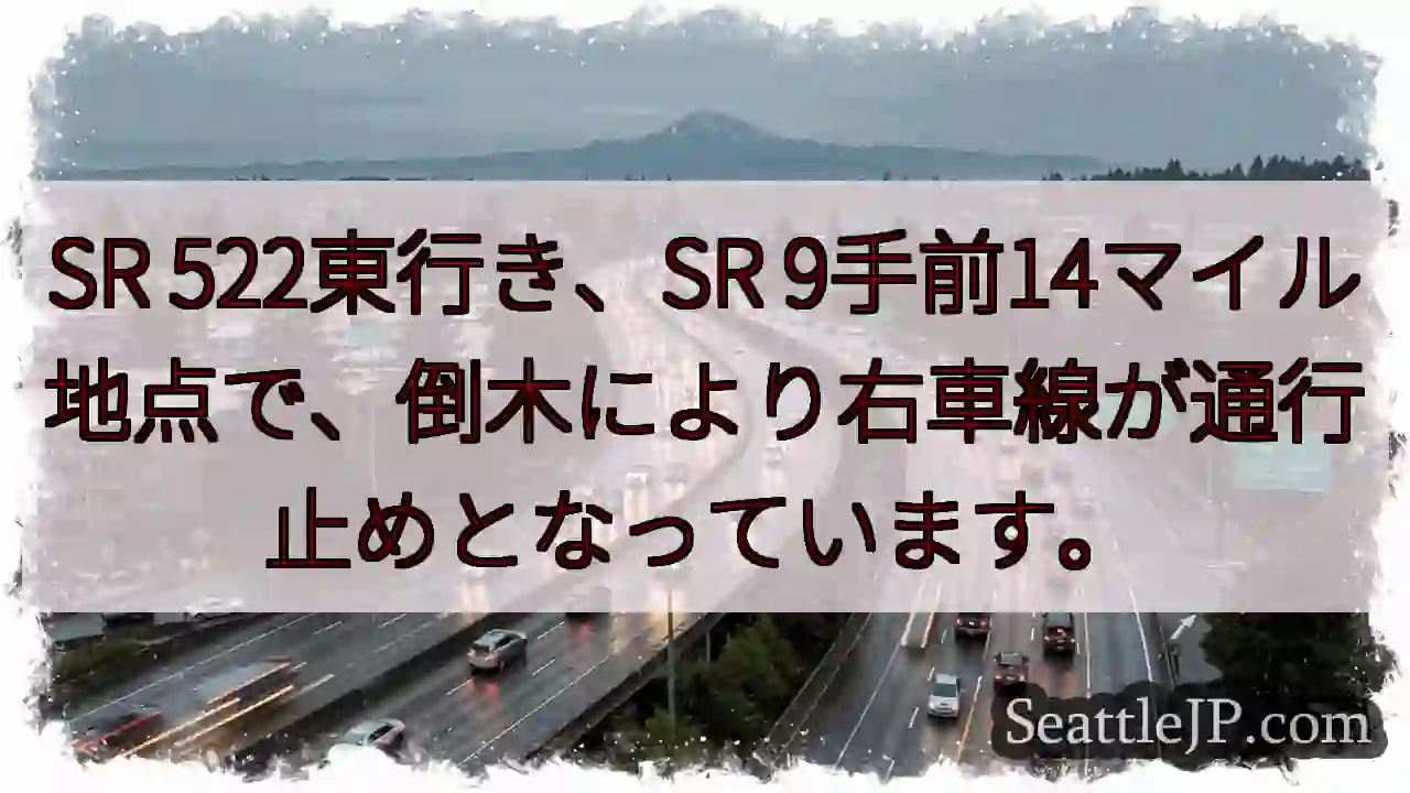 SR 9手前、倒木通行止め