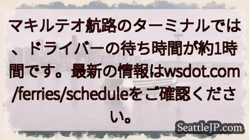 マキルテオ航路：待ち時間約1時間