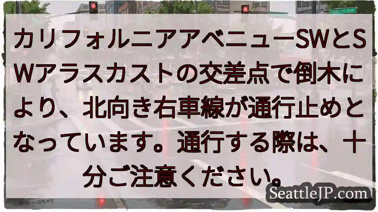 倒木規制！通行注意！