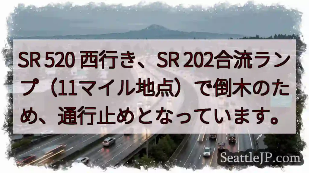 SR 520通行止め!倒木注意