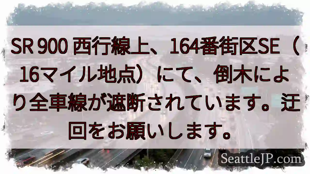 SR900：倒木で全線遮断！迂回お願いします