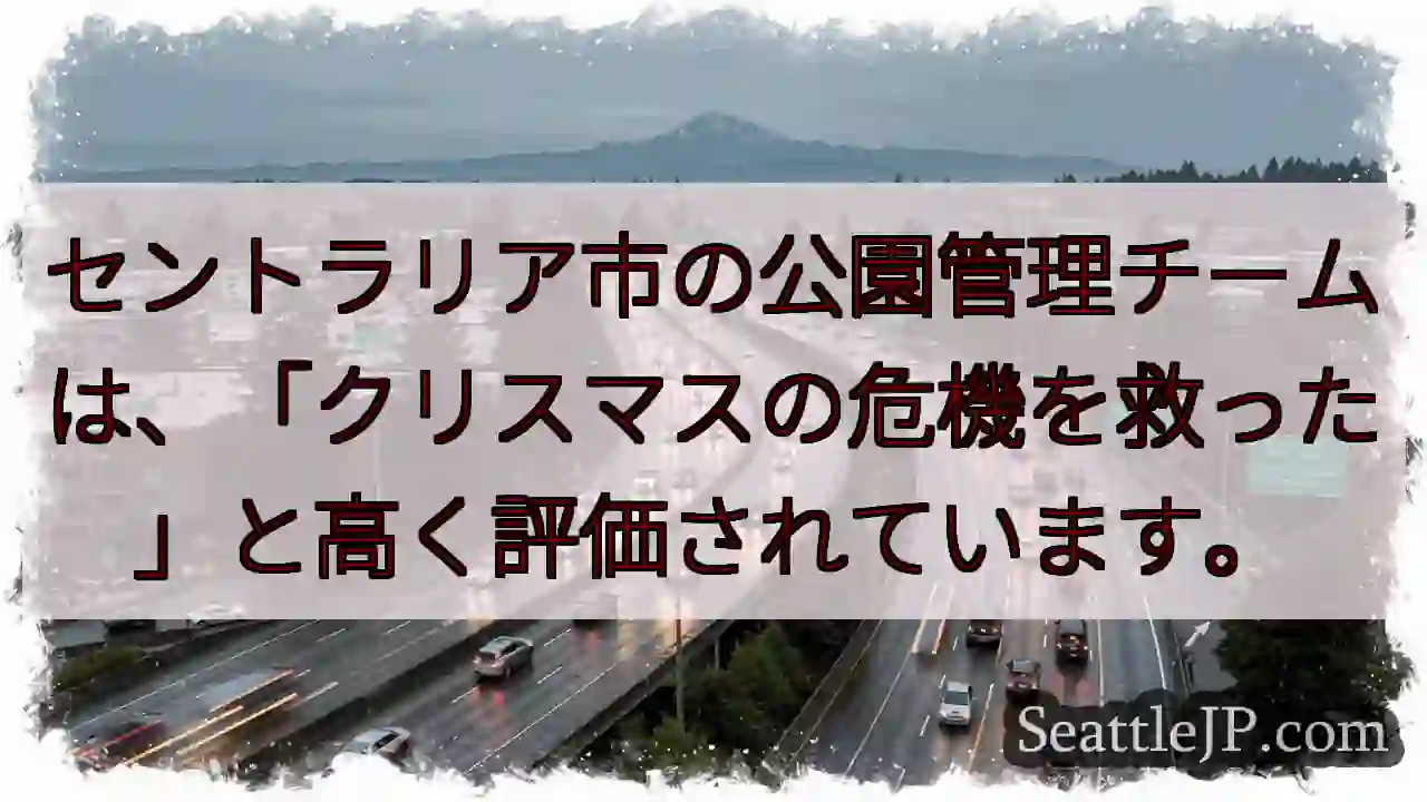 セントラリア公園：クリスマスのヒーロー！