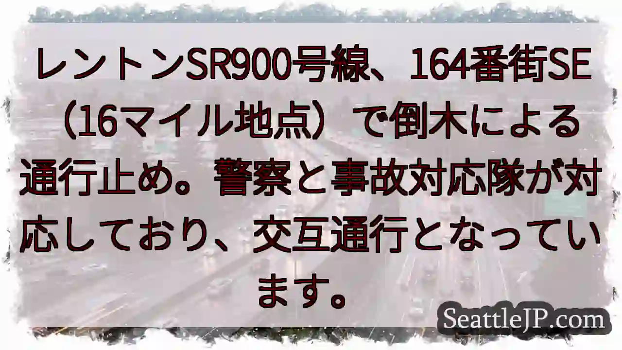 SR900通行止め：倒木あり