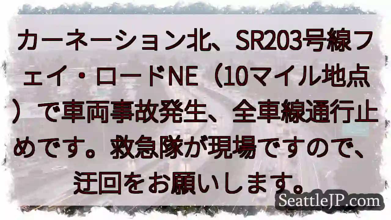 事故発生！SR203号線、全車線通行止め