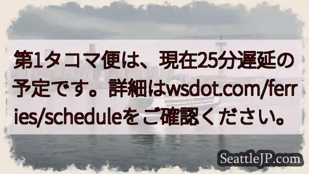 フェリー遅延：25分