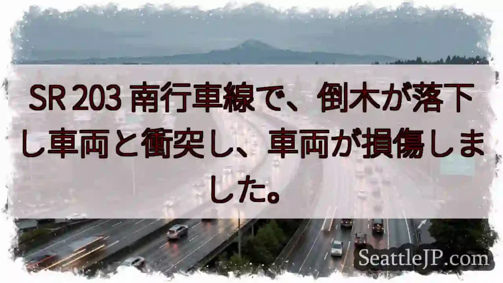 倒木落下！車両と衝突