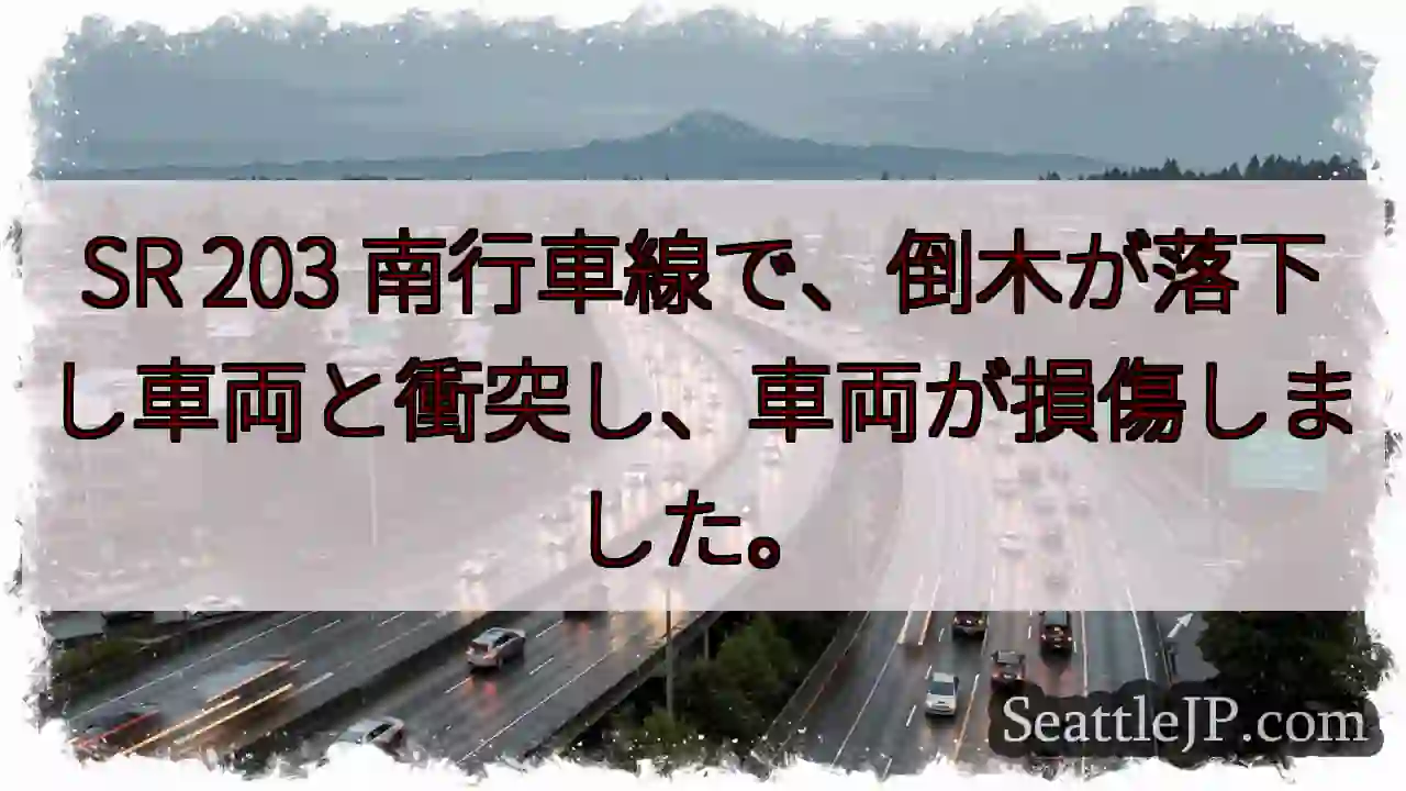 倒木落下！車両と衝突