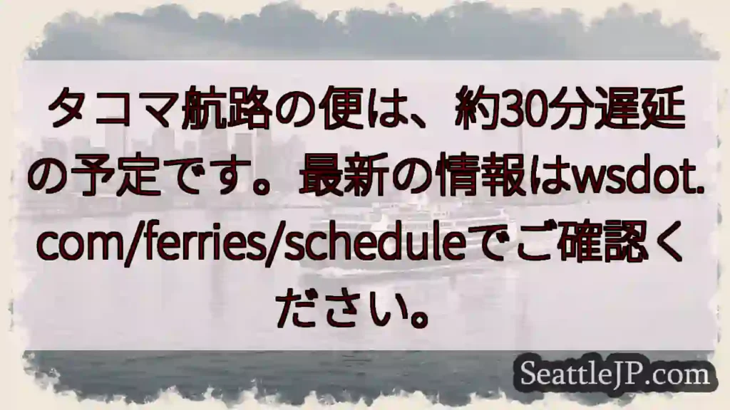 フェリー遅延:約30分