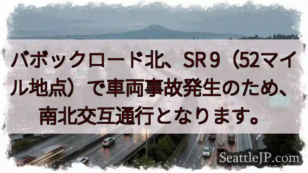 事故発生！SR9、交互通行