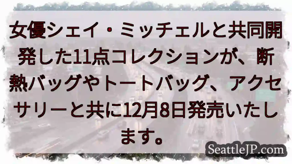 シェイ・ミッチェルと共同開発！12月8日発売