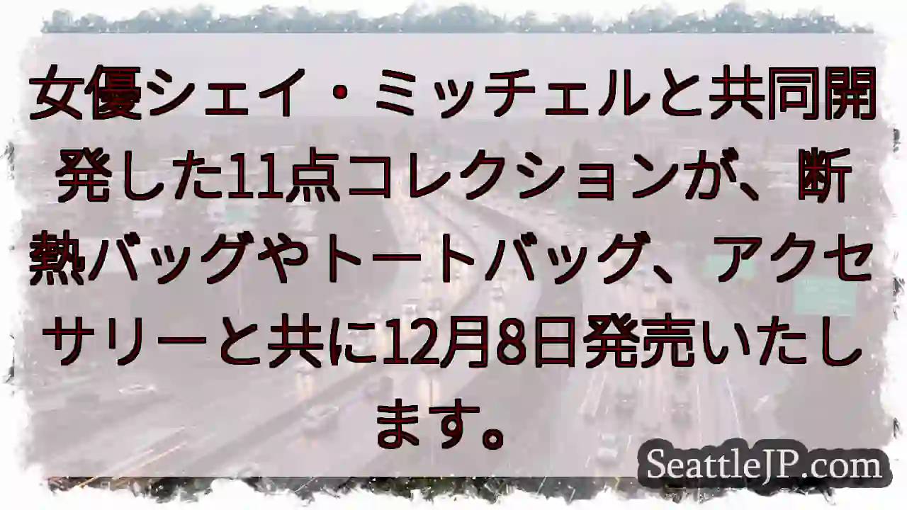 シェイ・ミッチェルと共同開発！12月8日発売