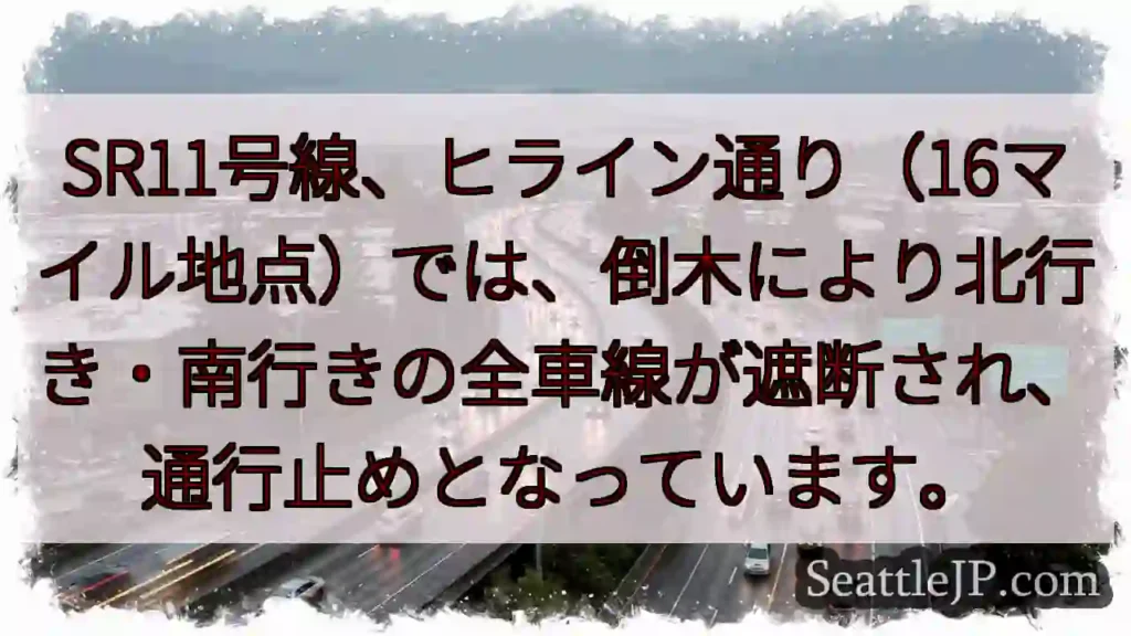 SR11号線通行止め！倒木により全車線封鎖