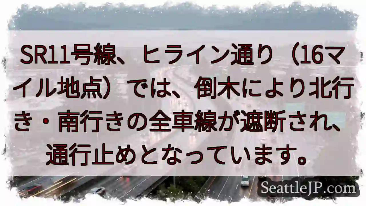 SR11号線通行止め！倒木により全車線封鎖