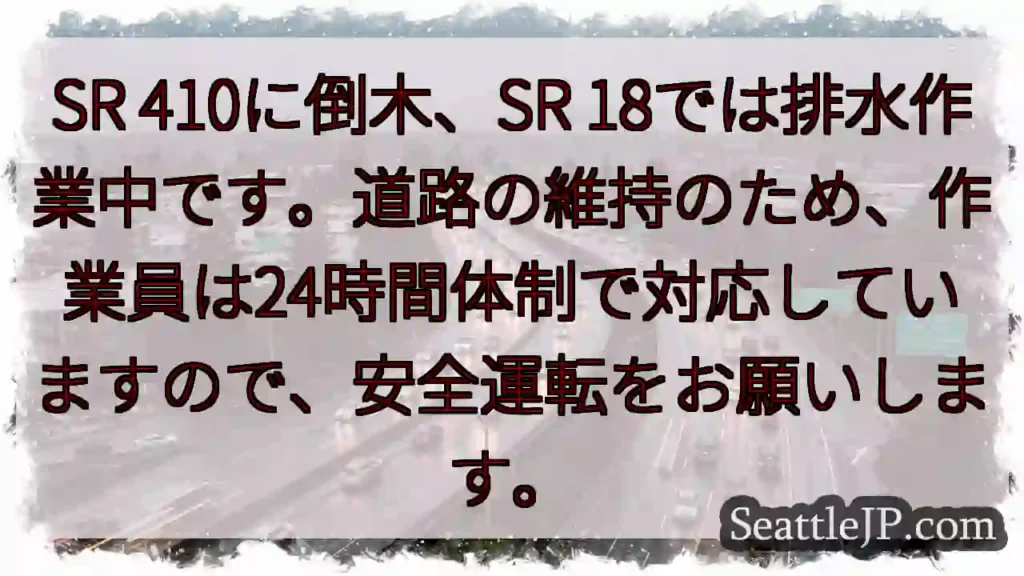 倒木・排水作業中!安全運転を!