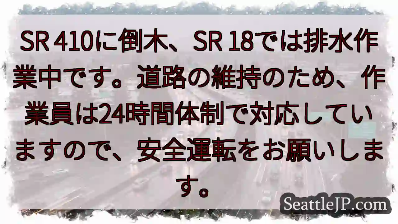 倒木・排水作業中！安全運転を！