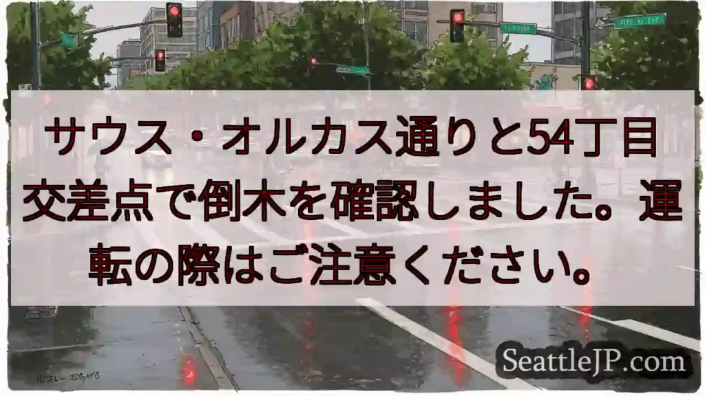 倒木注意！交差点付近
