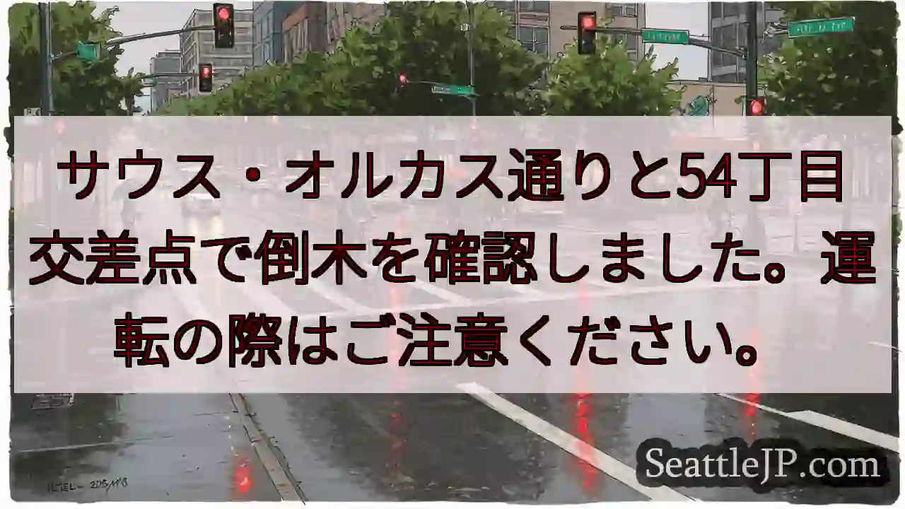 倒木注意！交差点付近