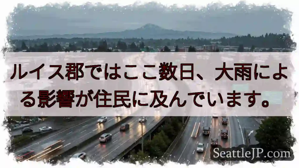 大雨の影響：ルイス郡