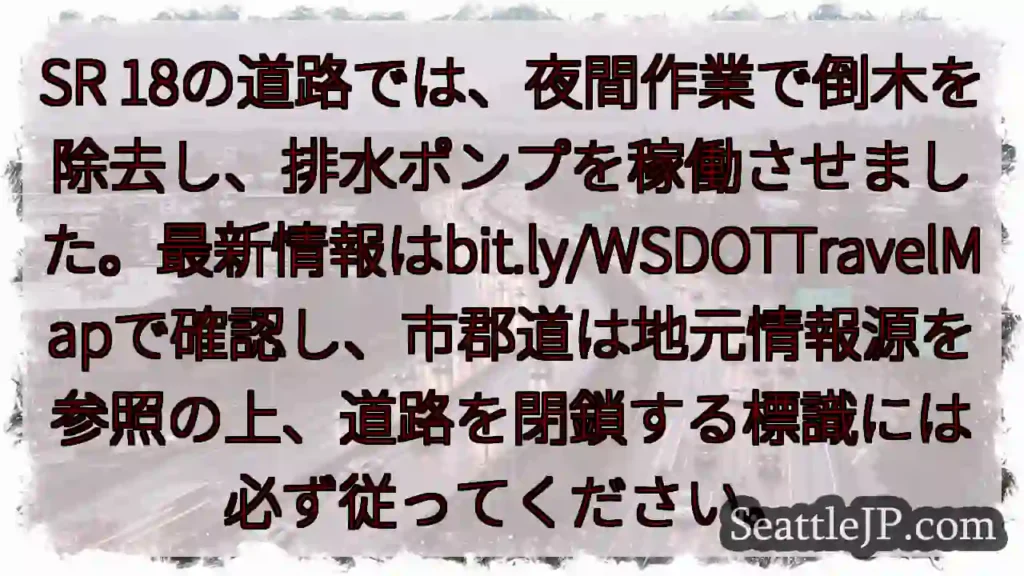 夜間作業：倒木除去、排水ポンプ稼働中