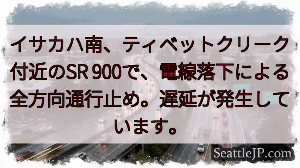 SR900通行止め！電線落下による全方向