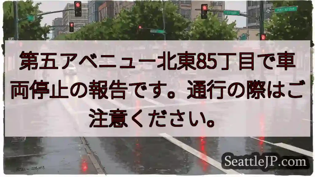 車両停止!85丁目付近注意