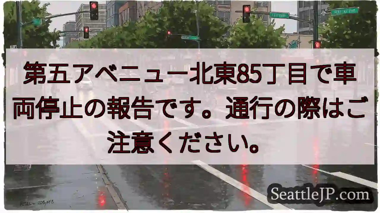 車両停止！85丁目付近注意