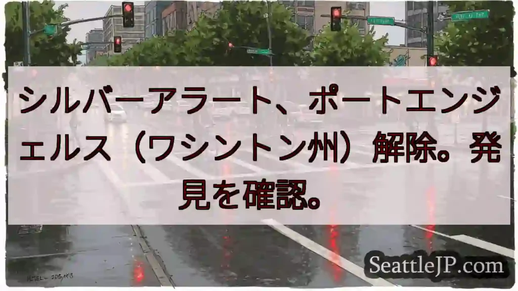 ポートエンジェルス解除！発見を確認。