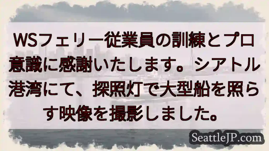 探照灯と大型船の光。