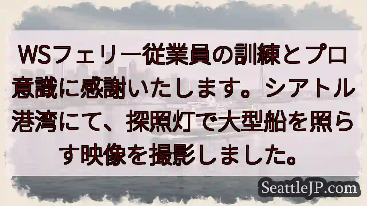 探照灯と大型船の光。