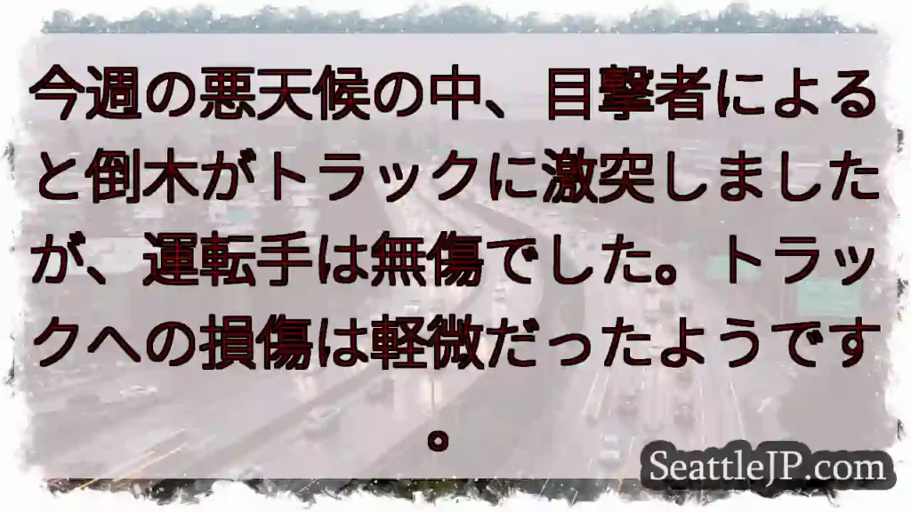 落木！トラックに激突！？運転手は無事。
