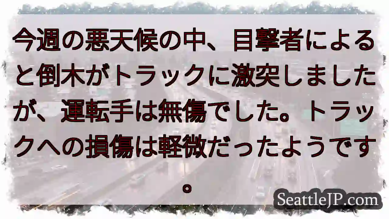 落木！トラックに激突！？運転手は無事。