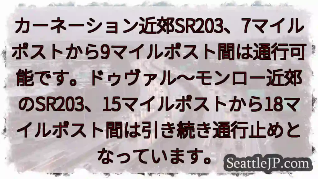 SR203通行状況:一部通行可能、一部通行止め