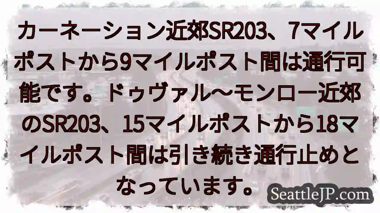 SR203通行状況：一部通行可能、一部通行止め