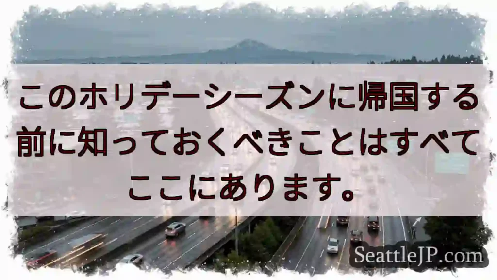 このホリデーシーズンに帰国する前に知っておくべきことはすべてここにあります。