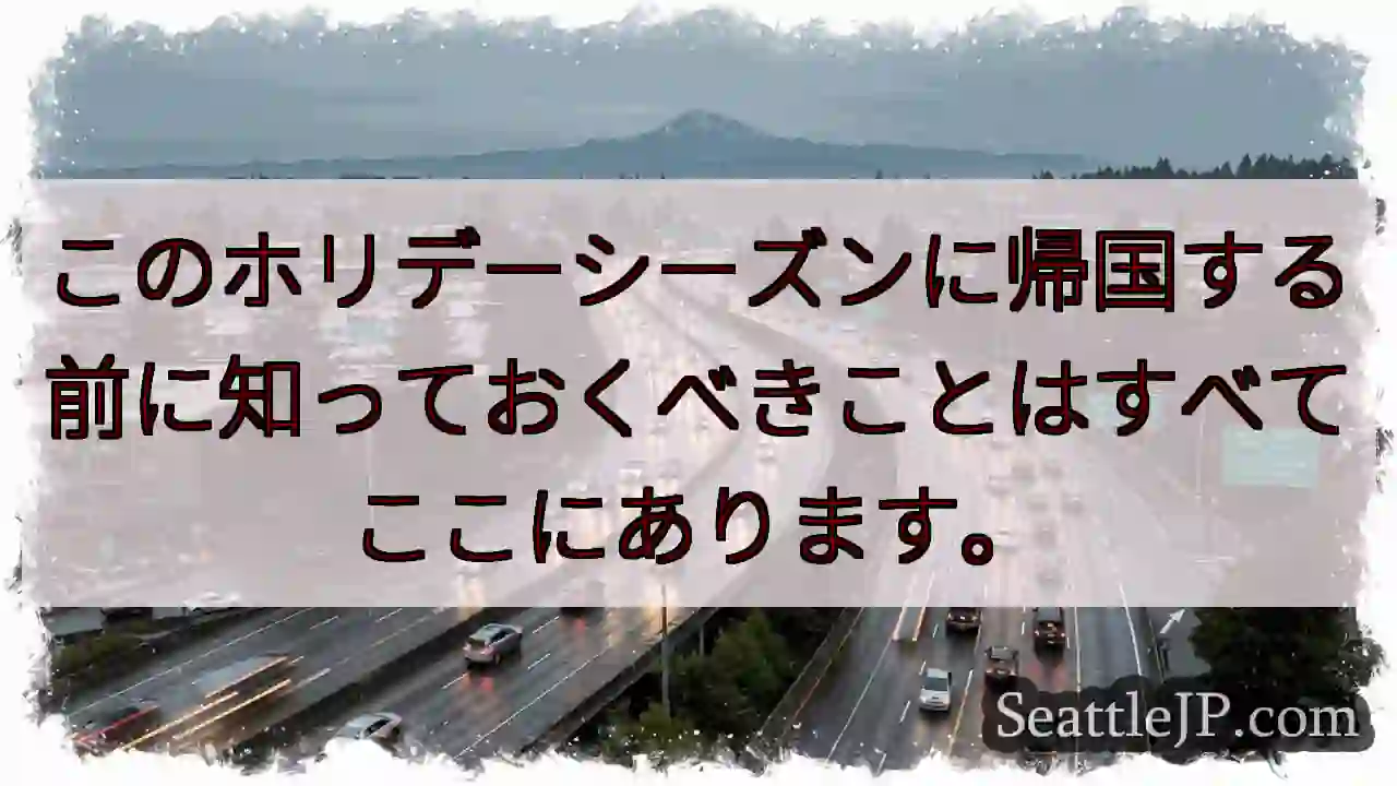 このホリデーシーズンに帰国する前に知っておくべきことはすべてここにあります。