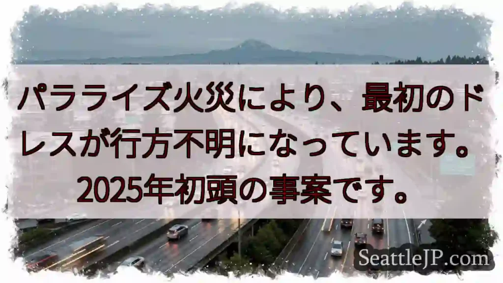 ドレス紛失：パラライズ火災