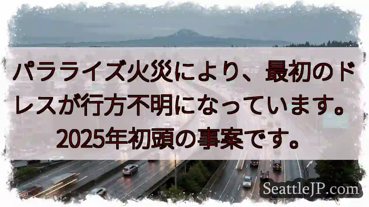 ドレス紛失：パラライズ火災