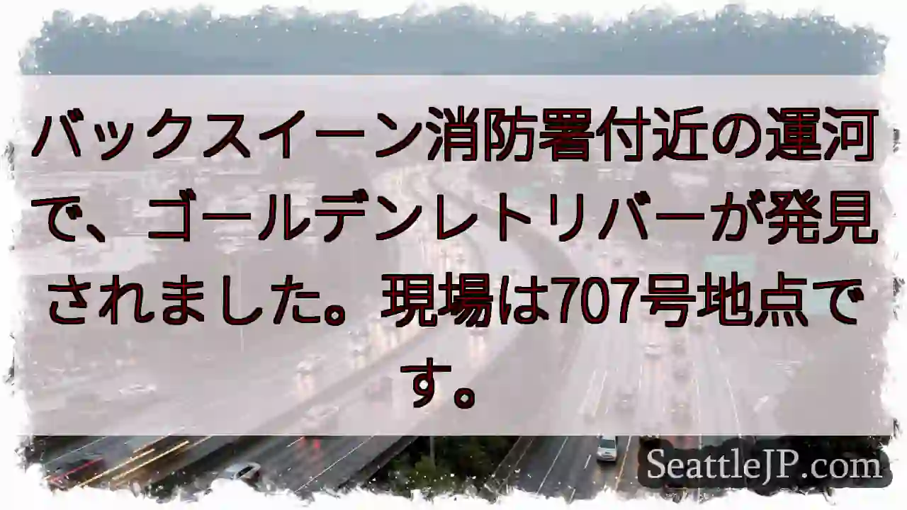 消防署付近でゴールデン発見！