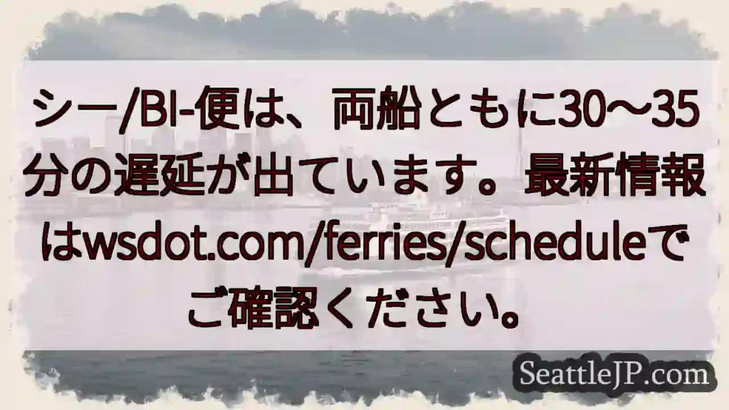 フェリー遅延：30～35分