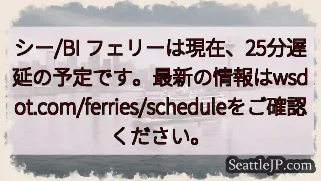 フェリー遅延：25分