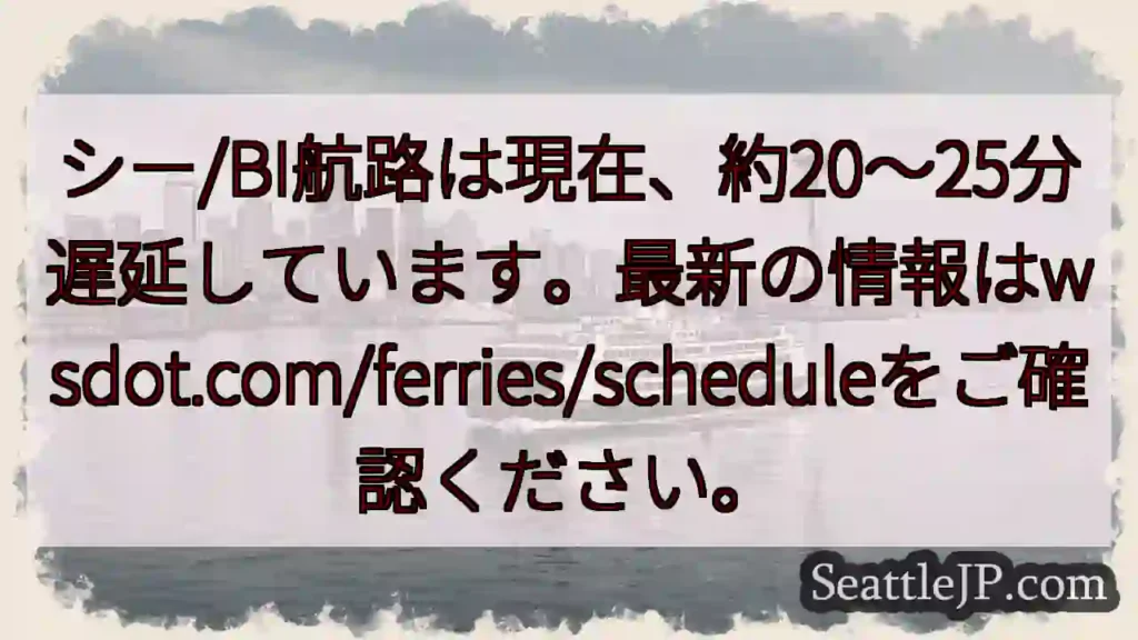フェリー遅延：20～25分