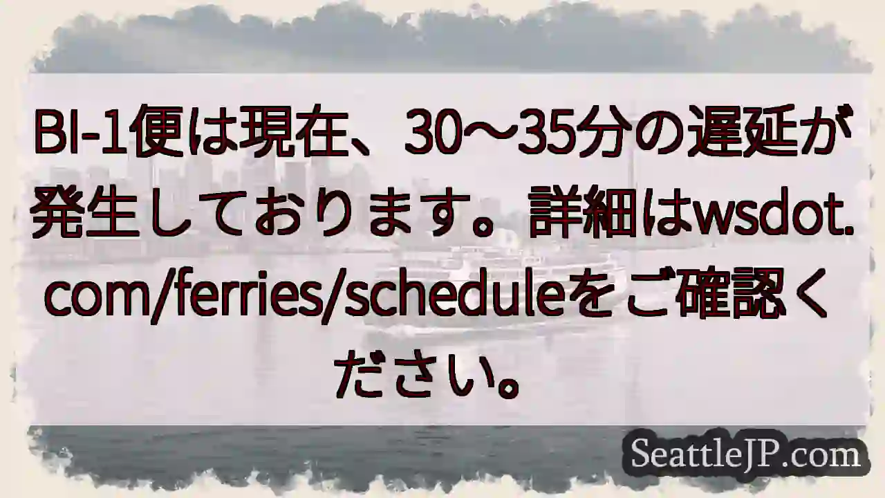フェリー遅延：30～35分