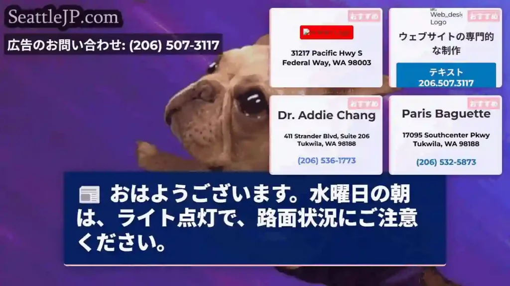 水曜朝：路面注意！ライト点灯中