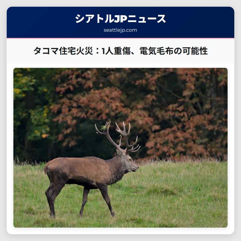 タコマ住宅火災：1人重傷、電気毛布の可能性